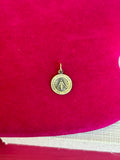 Sterling Silver 22 mm Miraculous Medal