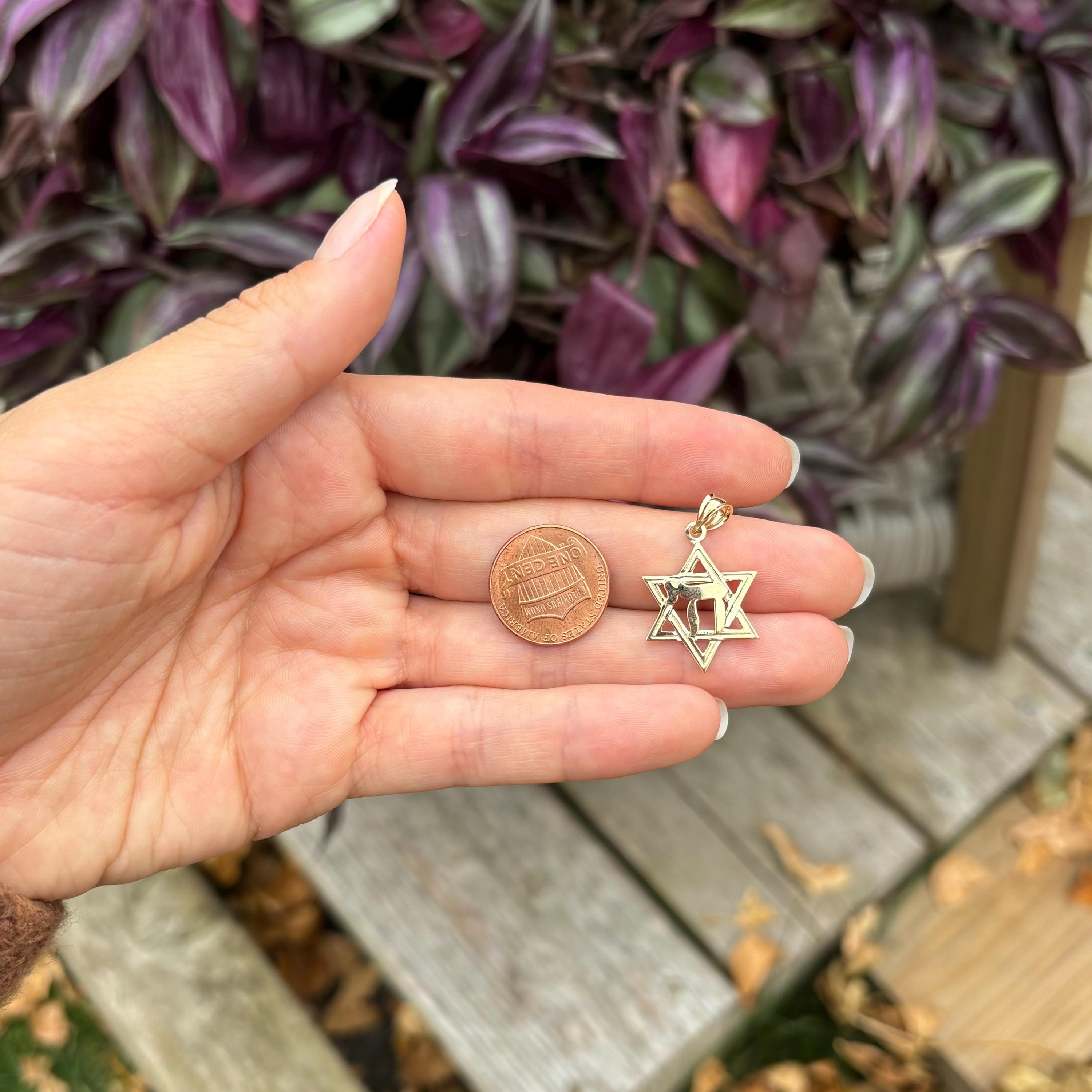 14k Gold Judica Star of David Magan Chai Star Charm Pendant