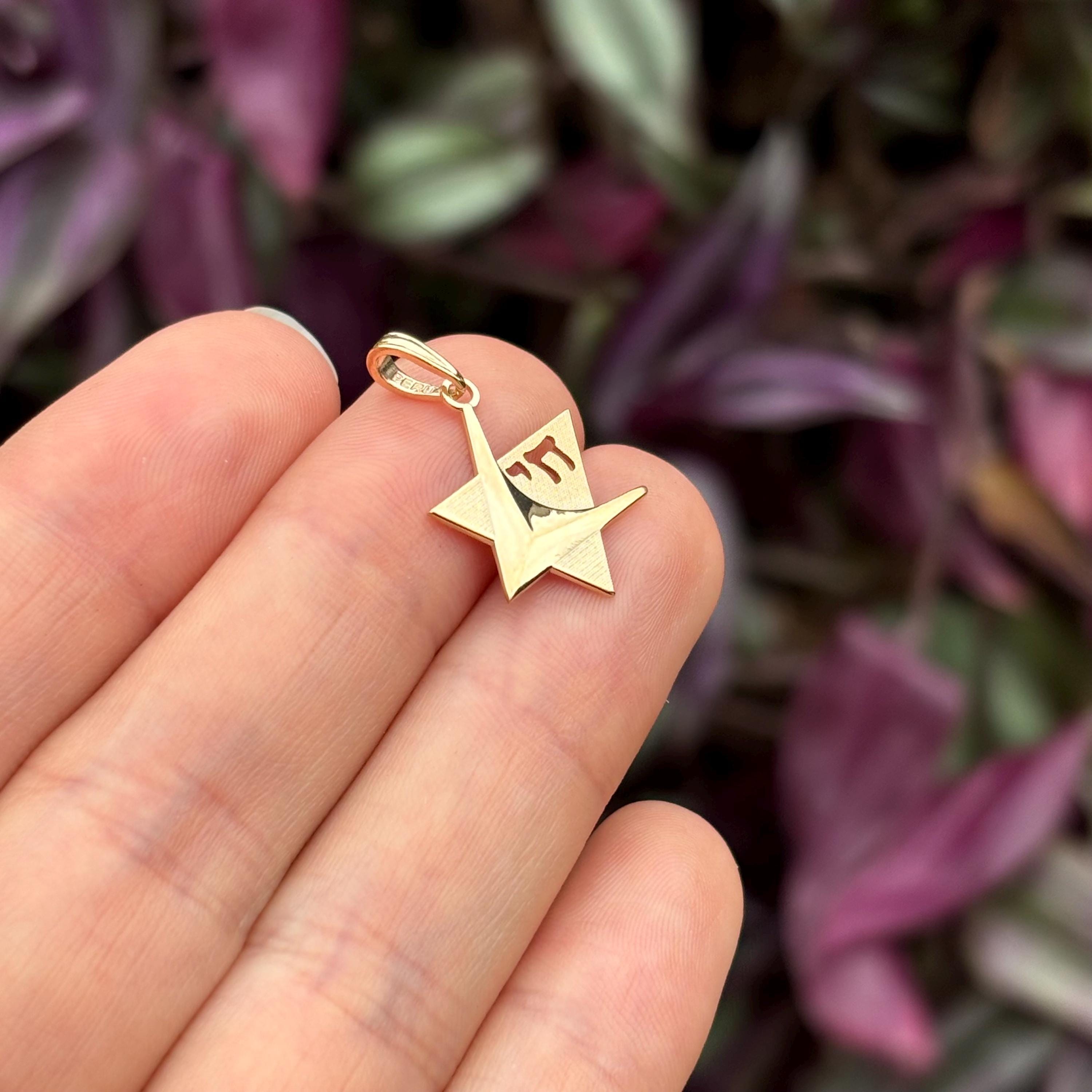14k Gold Judica Star of David Magan Chai Star Charm Pendant