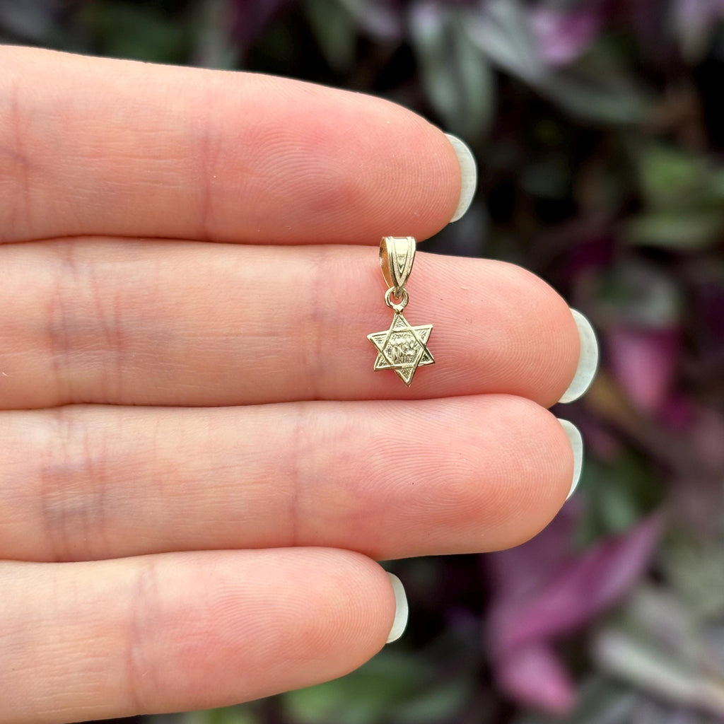 14k Gold Judica Star of David Magan Star Zion Charm Pendant
