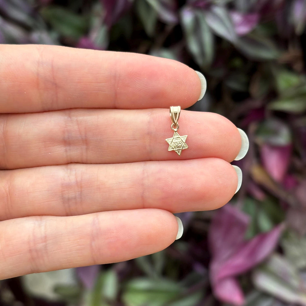 14k Gold Judica Star of David Magan Star Zion Charm Pendant