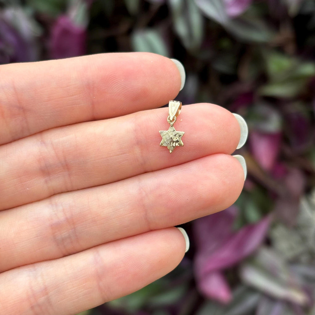 14k Gold Judica Star of David Magan Star Zion Charm Pendant