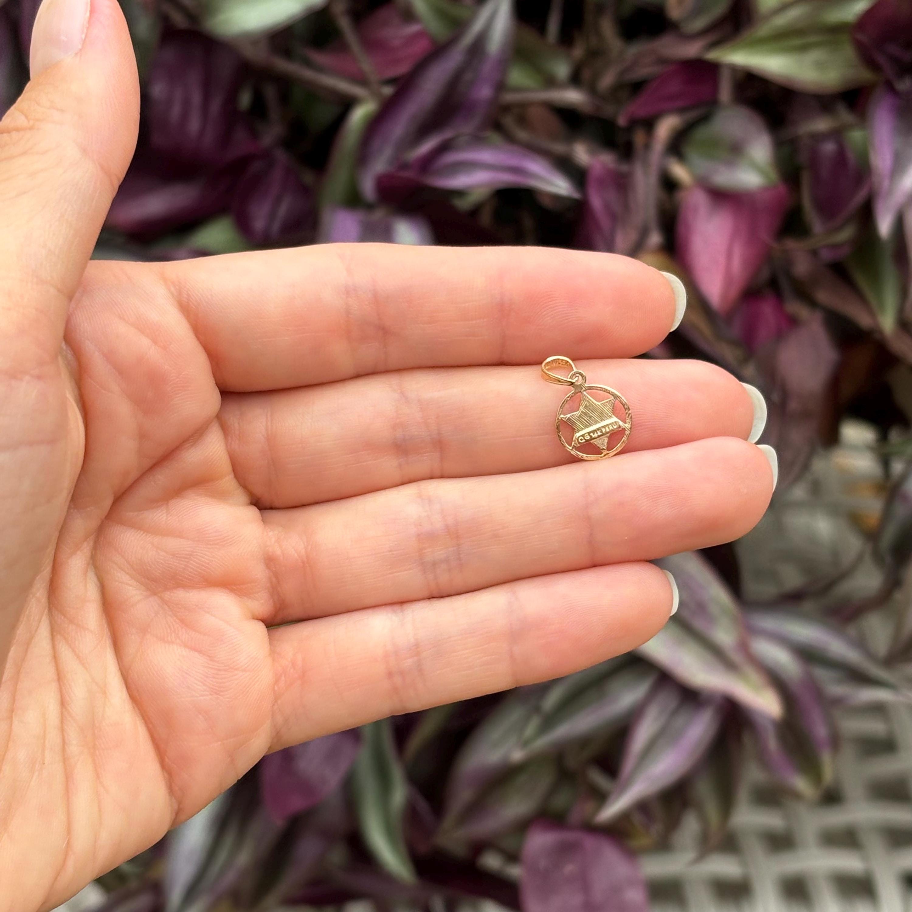 14k Gold Judica Star of David Magan Star Circle Frame Charm Pendant