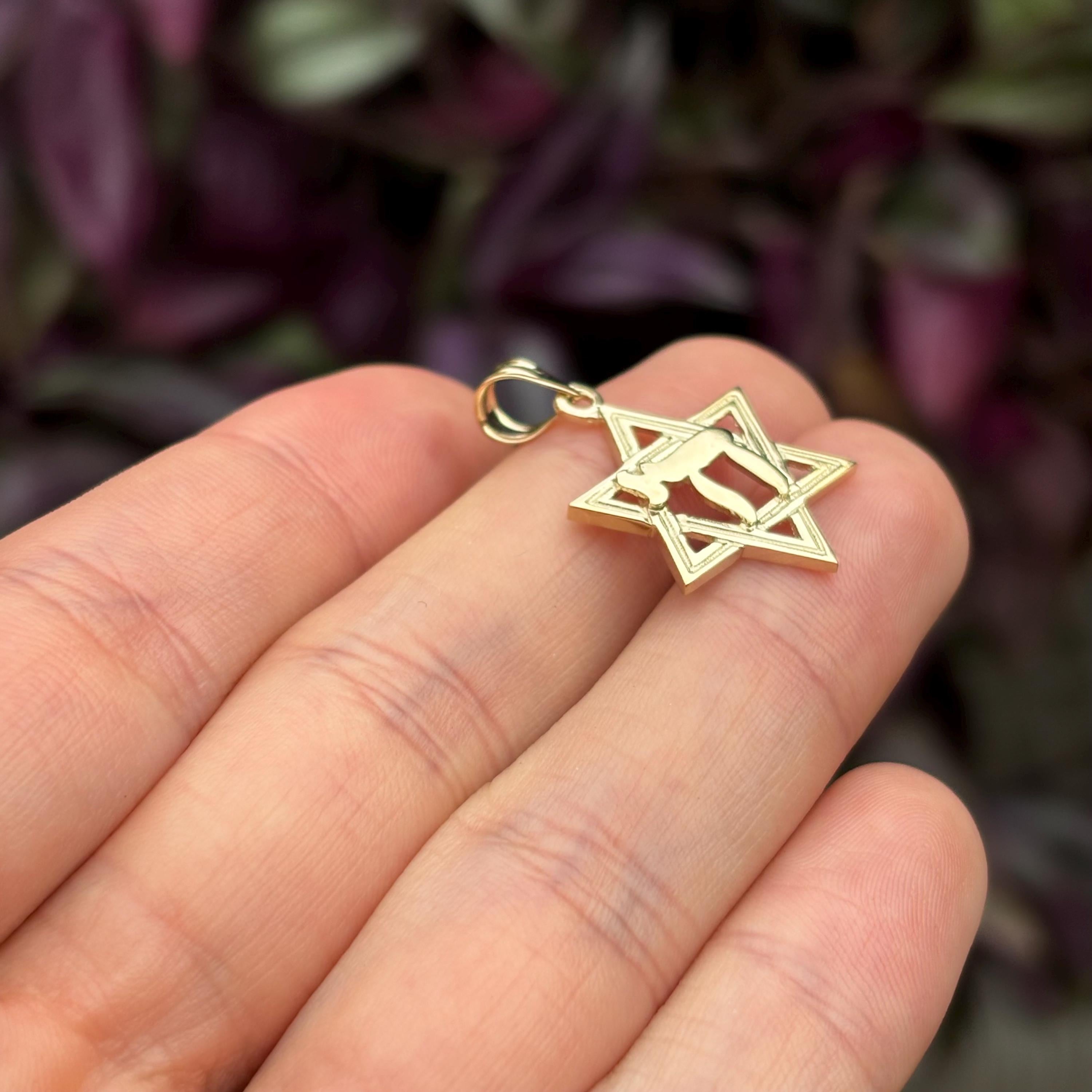 14k Gold Judica Star of David Magan Chai Star Charm Pendant