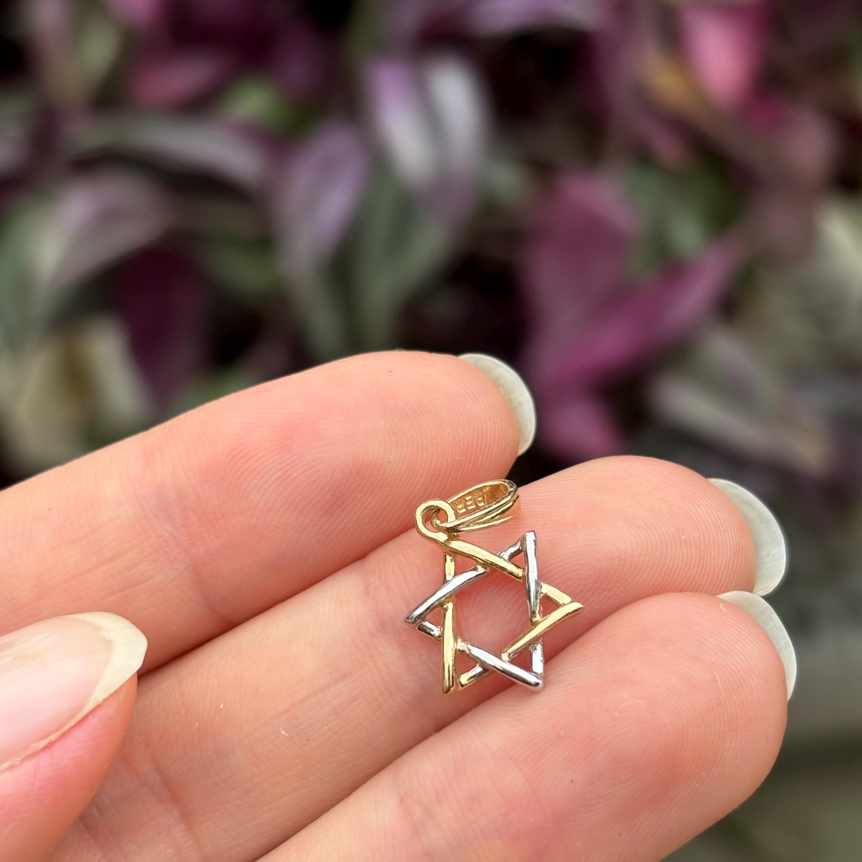 14k White Yellow Gold Judica Star of David Magan Star Charm Pendant