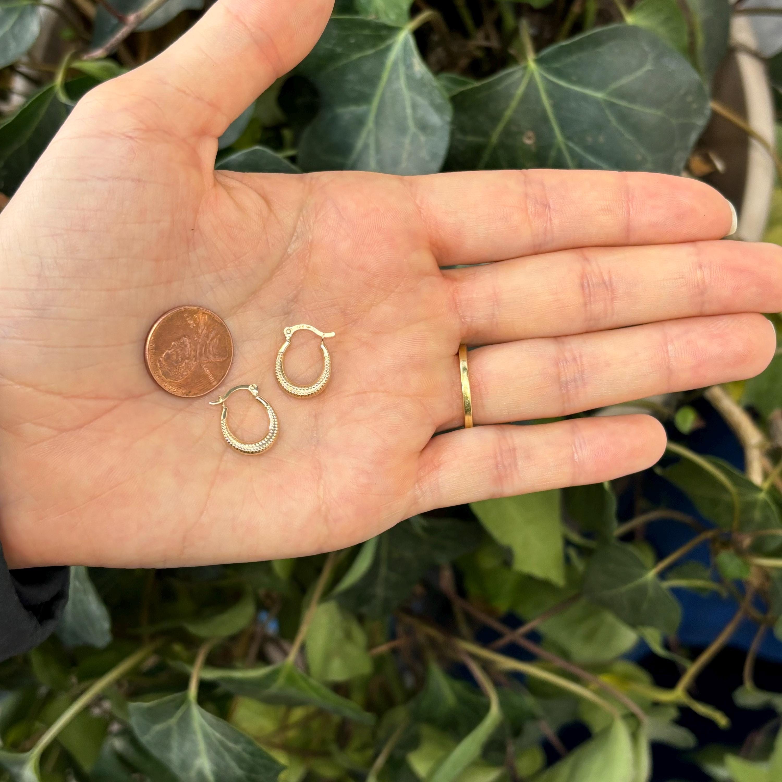 10k Gold Scalloped Round Mini Hoop Earrings