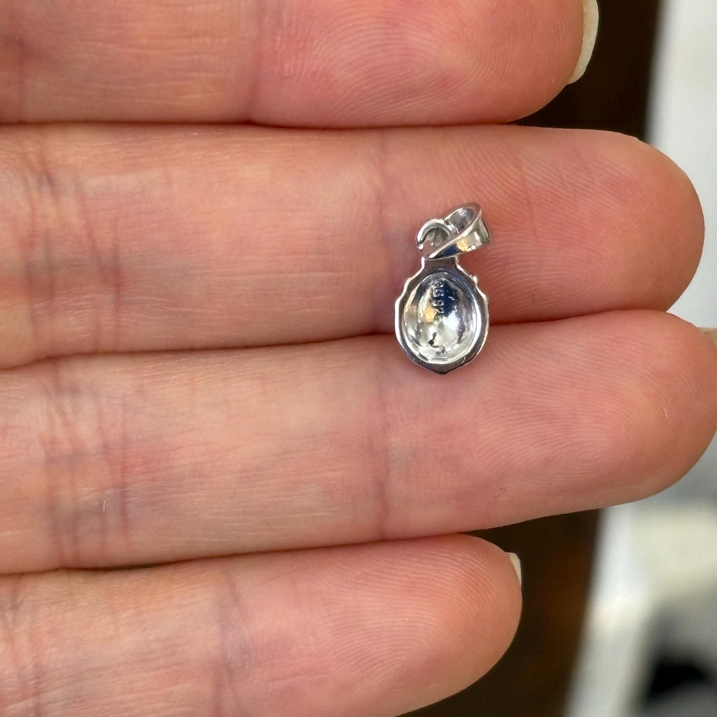 Sterling Silver Red Ladybug Pendant Charm
