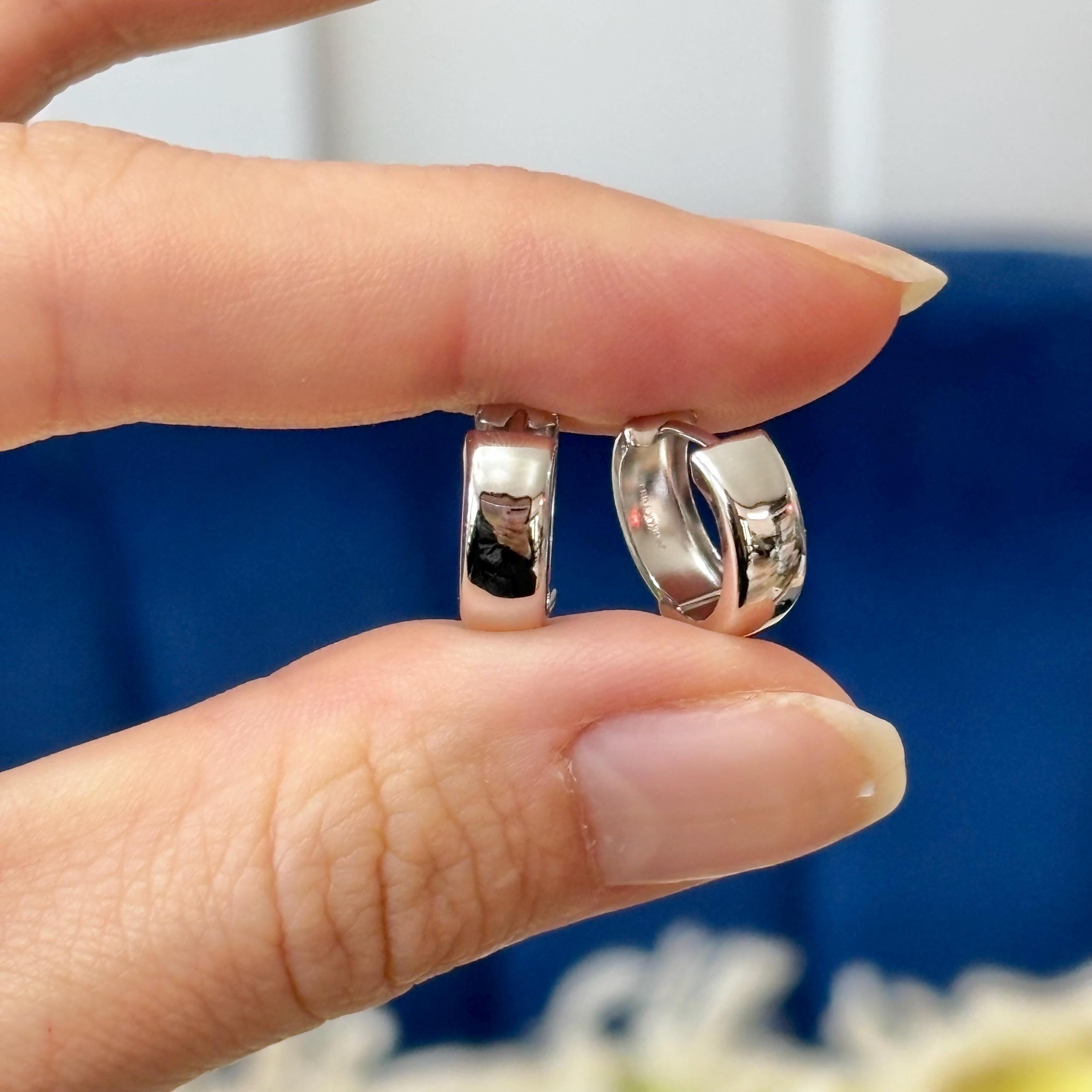 14k White Gold Hinged Hoop Earrings