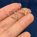 Gold Filled Pair of Fleur De Lis Leverback Settings
