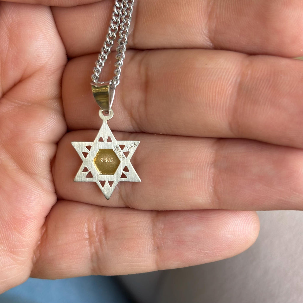Sterling Silver and 14k Yellow Gold Star of David 14" Necklace