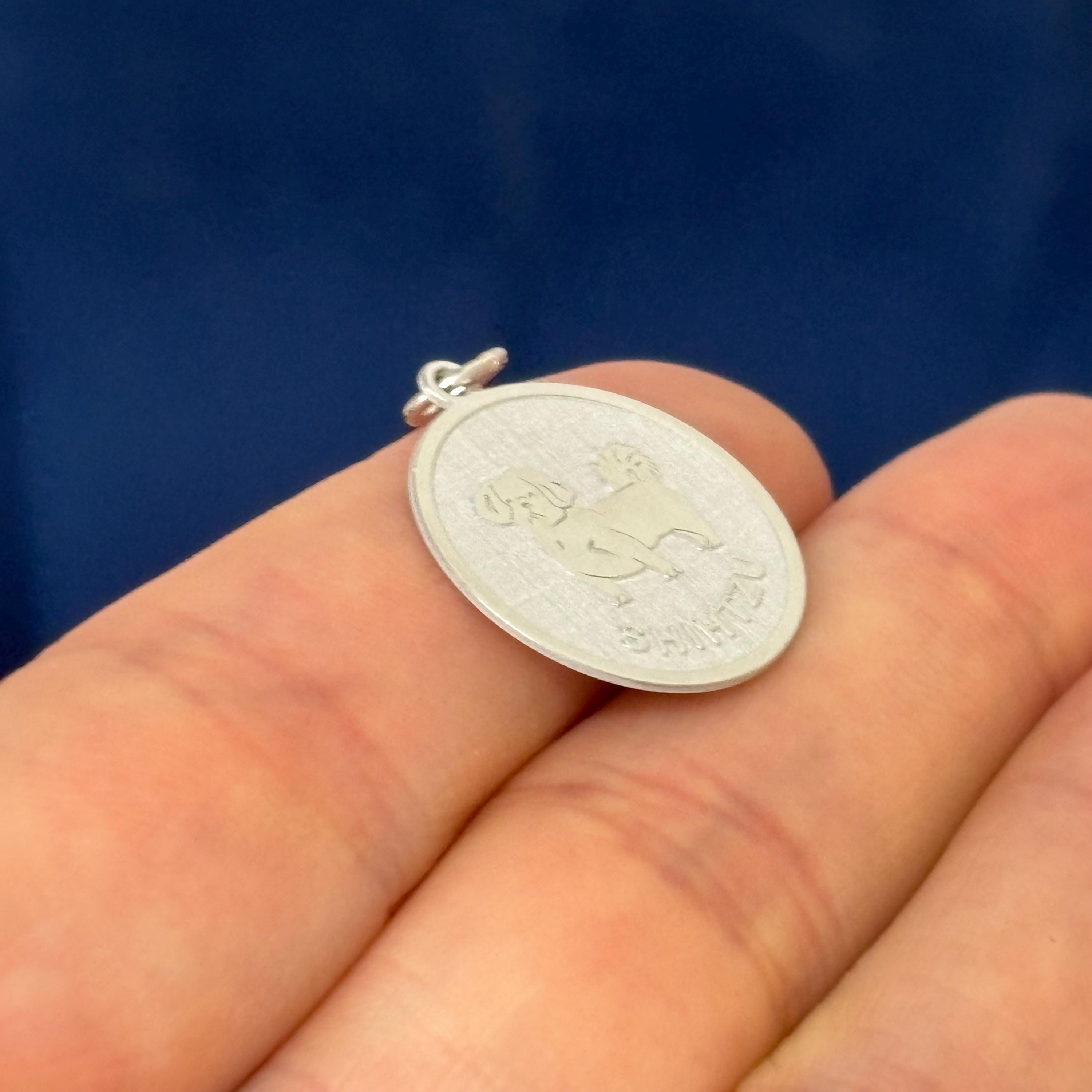 Sterling Silver Shih Tzu Shiny and Matte Disc Charm Pendant