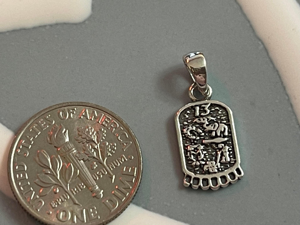 Sterling Silver Good Luck Charm Pendant
