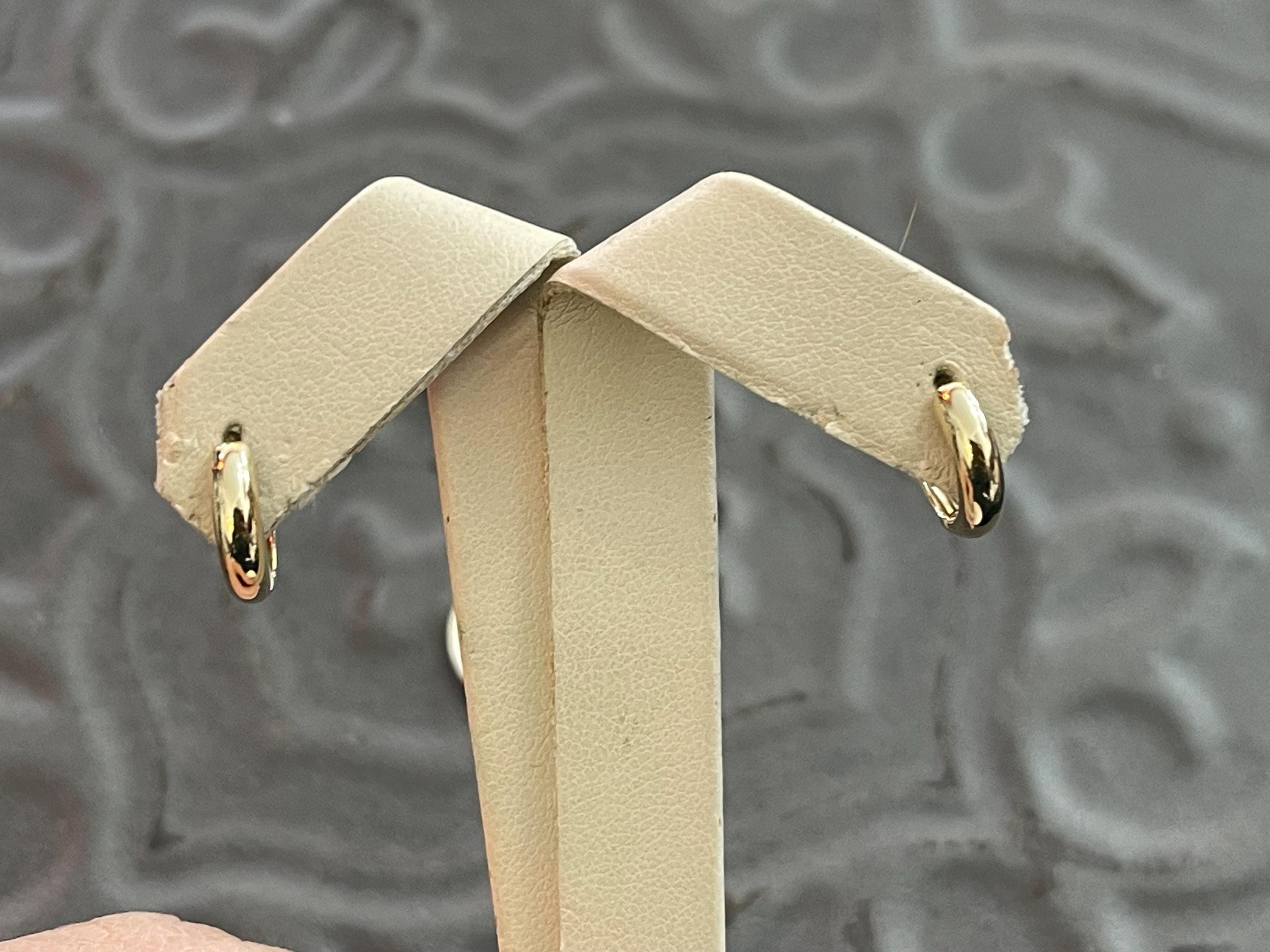 10k Gold Polished Hinged Hoop Earrings