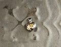Sterling Silver Yellow Rhodium Clover Heart Locket