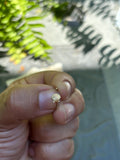 14k 20 Gauge Shell Nose Ring / Ear Cuff
