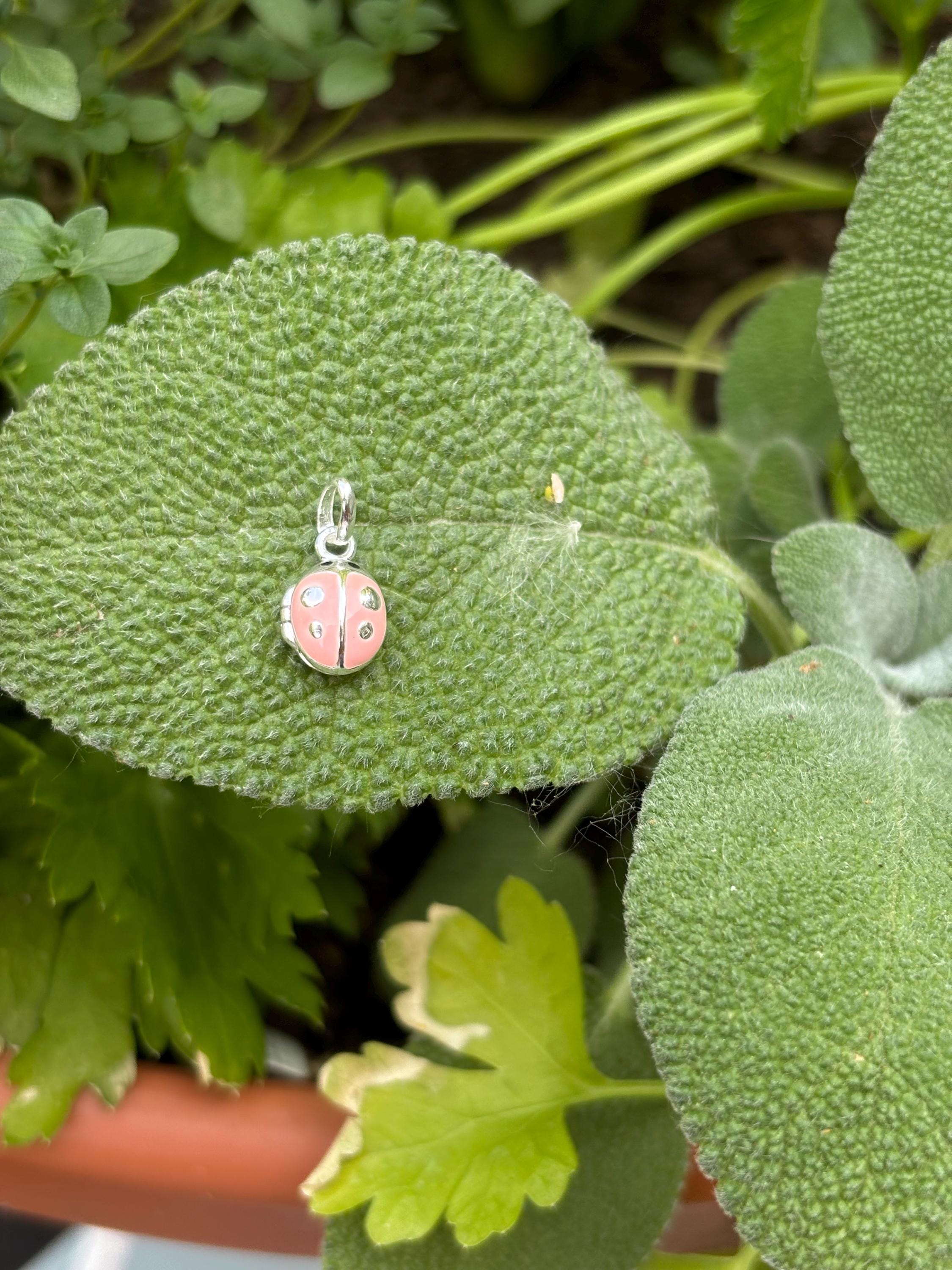 Sterling Silver Pink Ladybug Locket Children's Charm