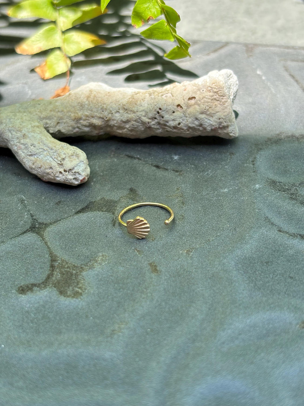 14k 20 Gauge Shell Nose Ring / Ear Cuff