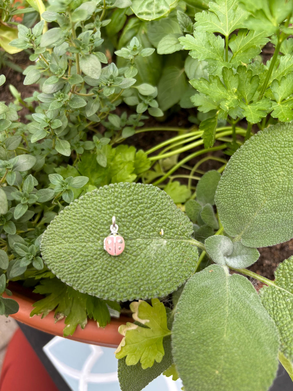 Sterling Silver Pink Ladybug Locket Children's Charm