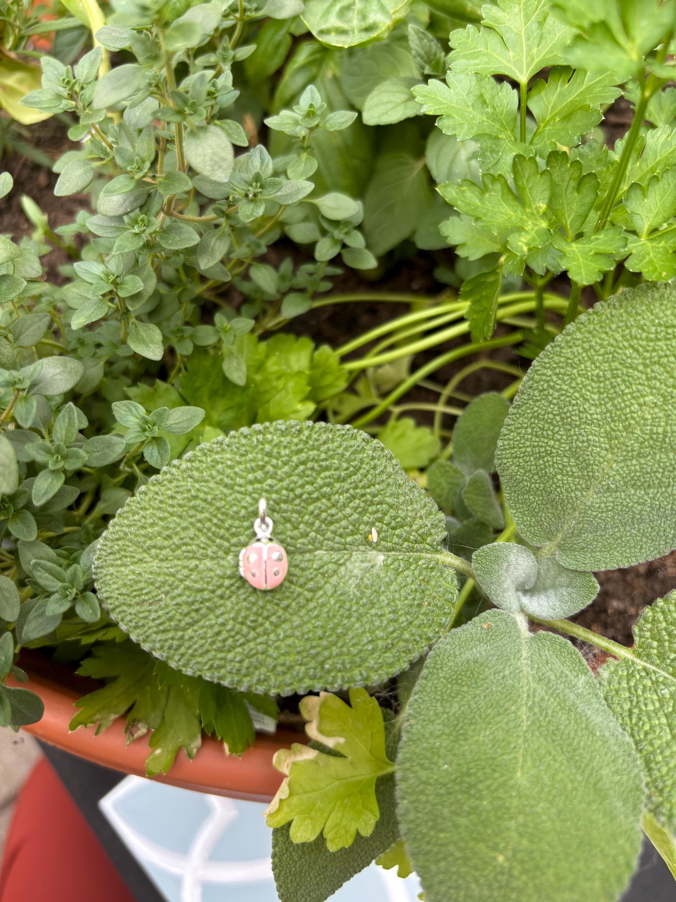 Sterling Silver Pink Ladybug Locket Children's Charm