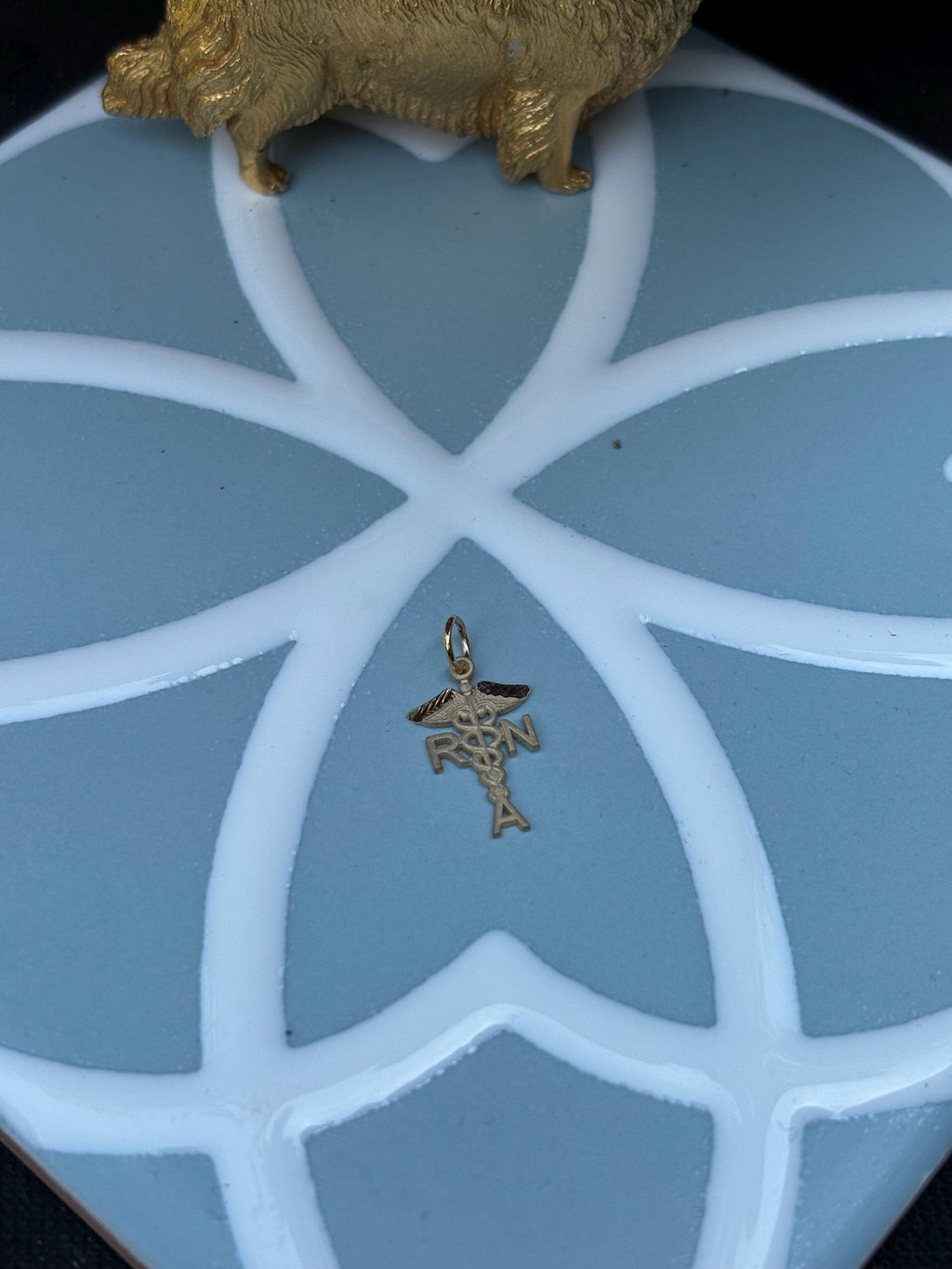10k Solid Gold Registered Nurse Charm