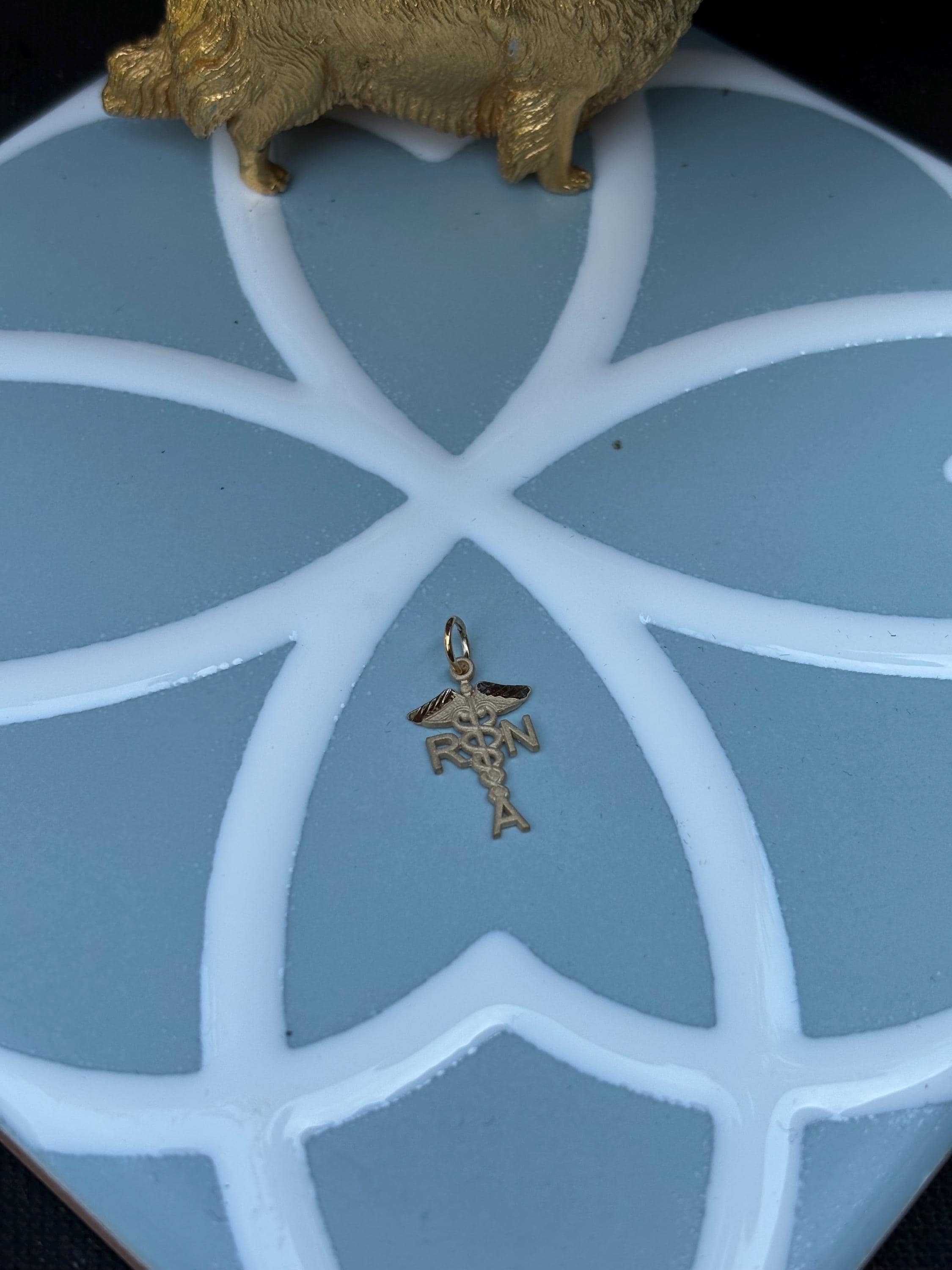 10k Solid Gold Registered Nurse Charm