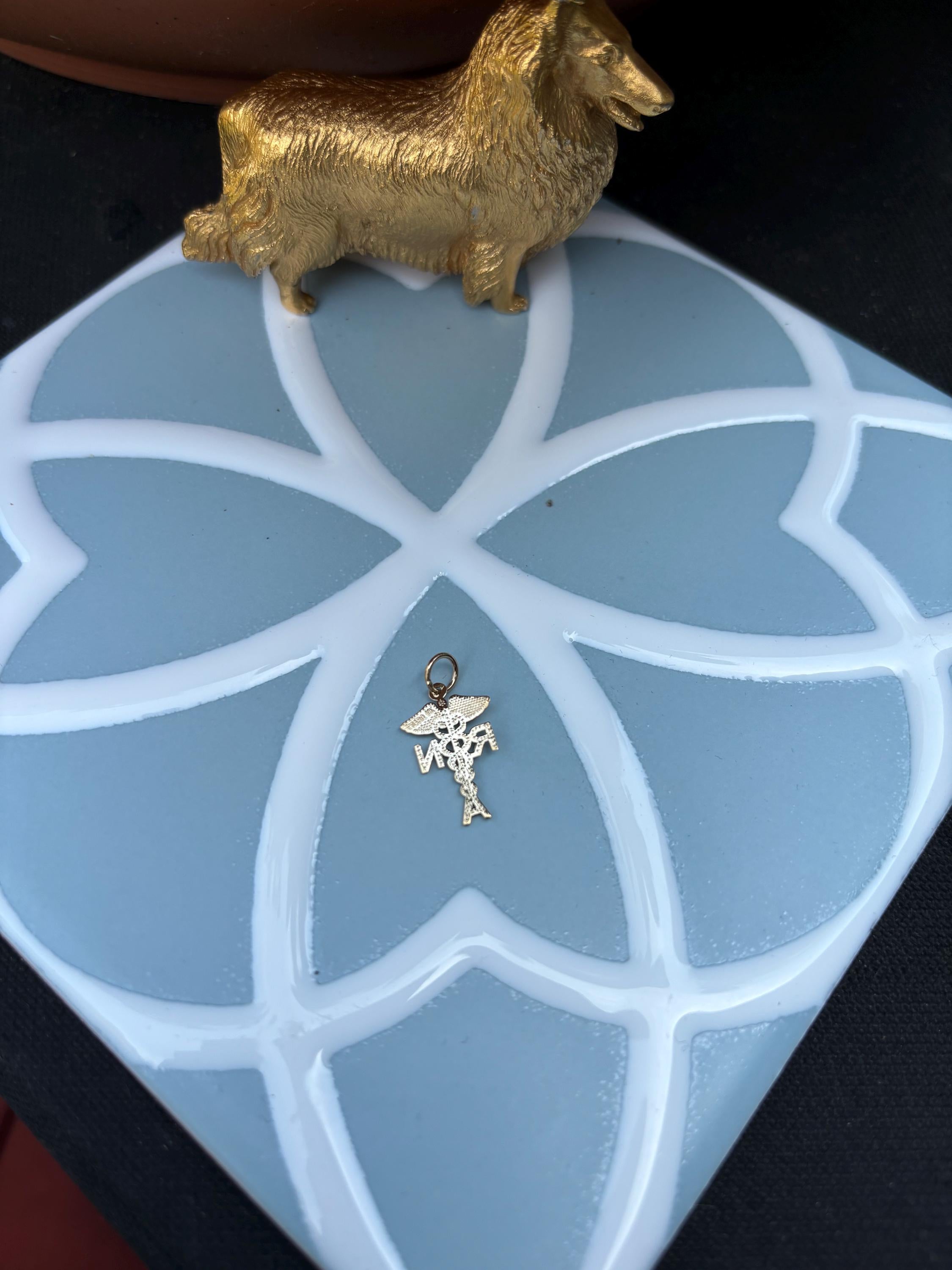 10k Solid Gold Registered Nurse Charm