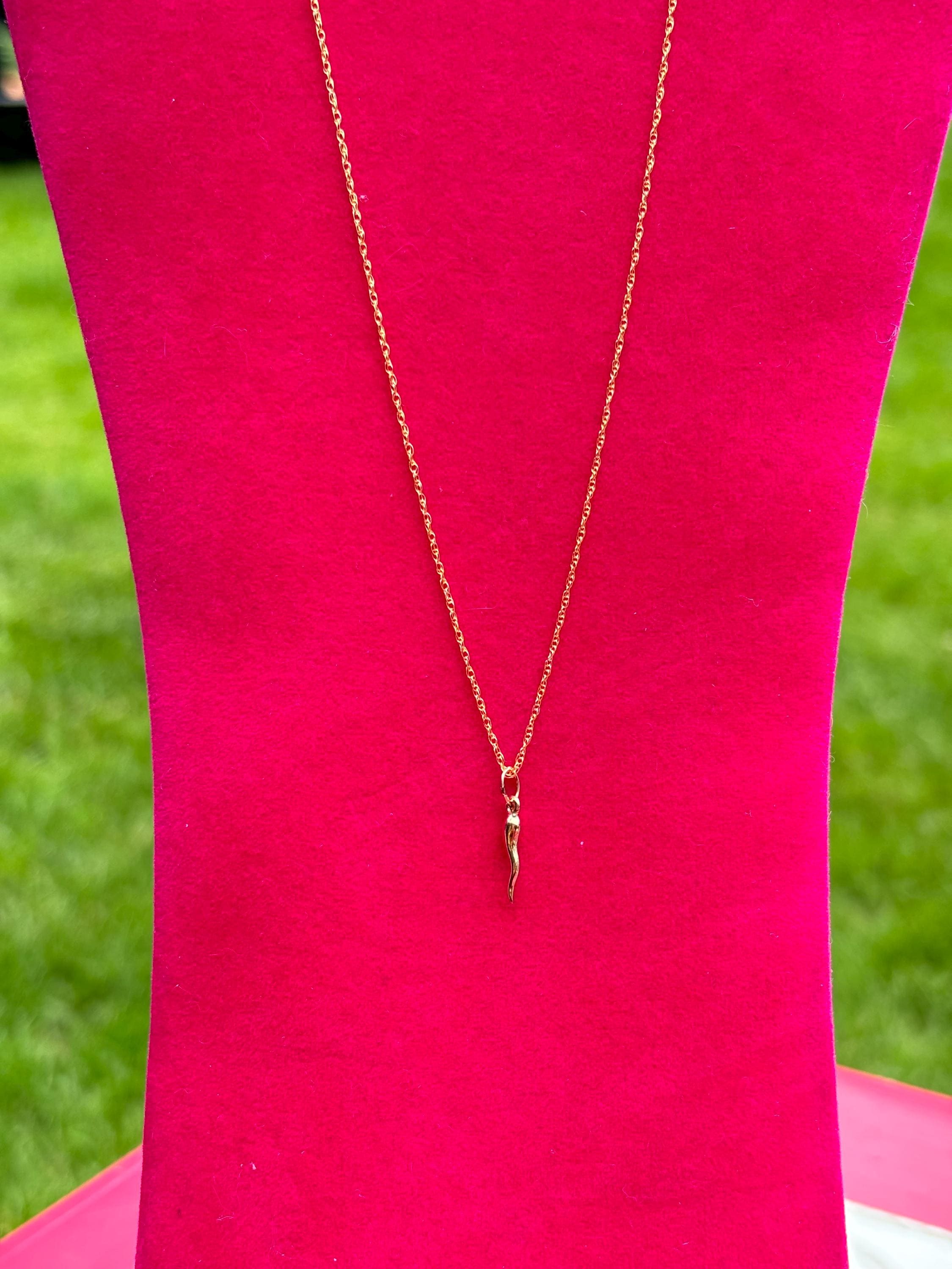 Gold Filled Horn Charm 20” Necklace