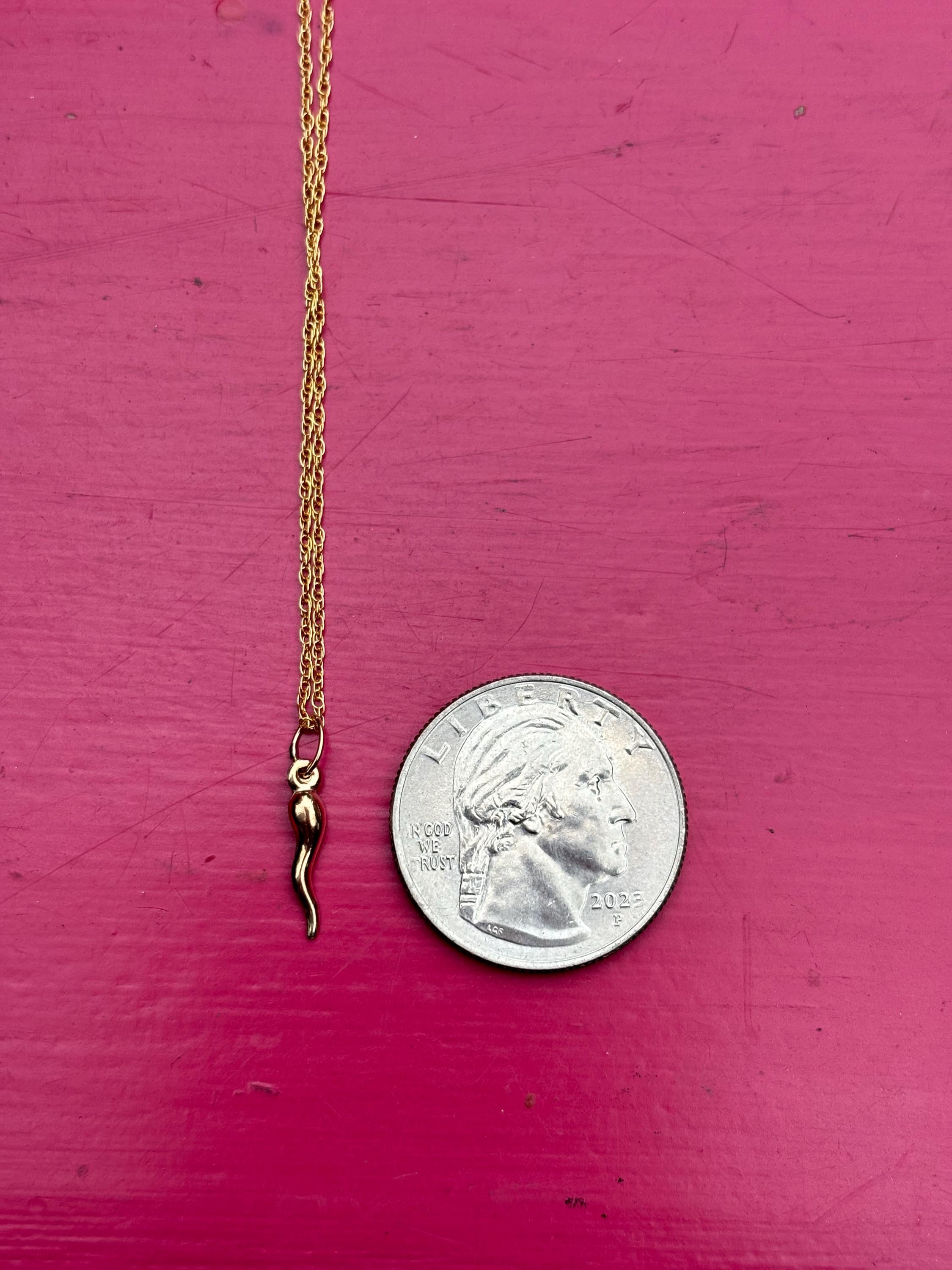 Gold Filled Horn Charm 20” Necklace
